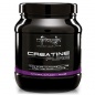 Creatine Pure Nanox, 300г