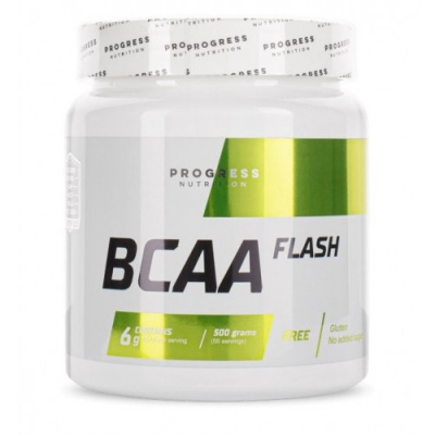 БЦАА Progress Nutrition BCAA Flash  500гр