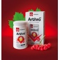 Хондропротектор Vertera Arthro mix 90 таблеток