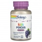 Витамины Solaray Kids Focus For Children 60 жевательных таблеток