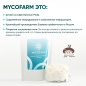 Специальный препарат Mycofarm Ежовик гребенчатый 100 гр