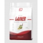  2SN Gainer 3000 